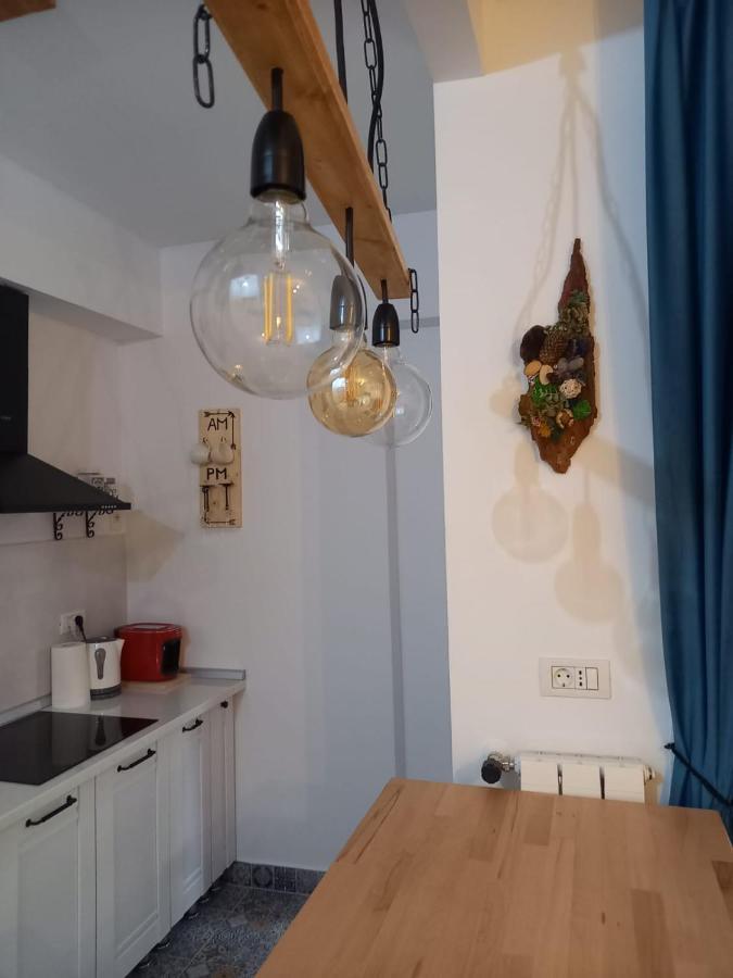 Belleview North Studio Διαμέρισμα Σινάια Εξωτερικό φωτογραφία