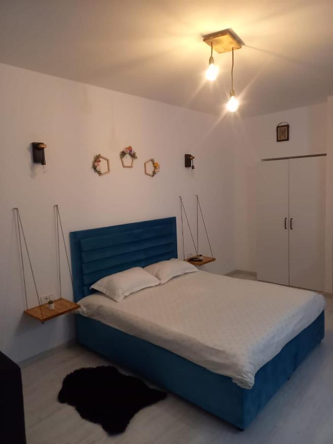 Belleview North Studio Διαμέρισμα Σινάια Εξωτερικό φωτογραφία
